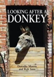 Looking After A Donkey