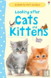 Looking After Cats And Kittens