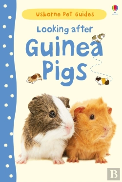 Bertrand.pt - Looking After Guinea Pigs