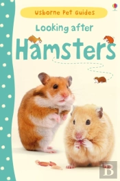 Looking After Hamsters
