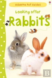 Looking After Rabbits