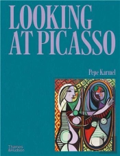 Looking At Picasso