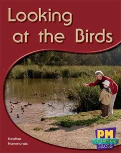 Bertrand.pt - Looking At The Birds
