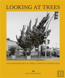 Bertrand.pt - Looking At Trees