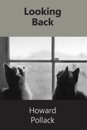 Looking Back