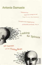 Looking For Spinoza
