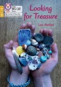 Looking For Treasure