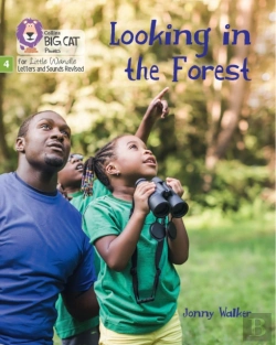 Bertrand.pt - Looking In The Forest