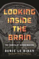 Looking Inside The Brain