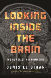 Looking Inside The Brain