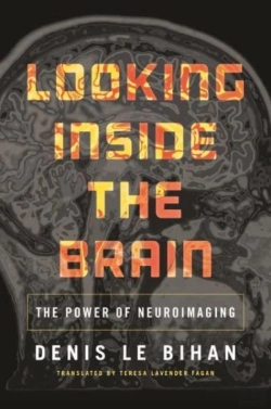 Bertrand.pt - Looking Inside The Brain