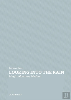 Bertrand.pt - Looking Into The Rain