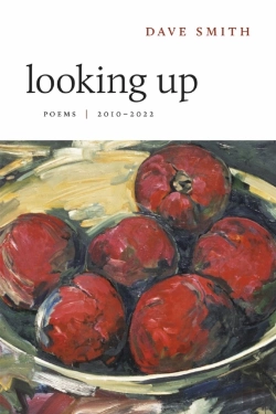 Bertrand.pt - Looking Up