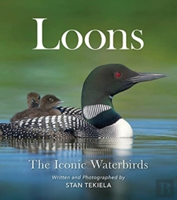 Bertrand.pt - Loons