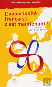 L'Opportunite Française, C'Est Maintenant !