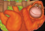 L'Orang-Outang