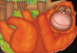 Bertrand.pt - L'Orang-Outang
