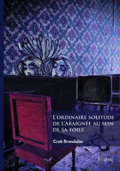 L'Ordinaire Solitude De L'Araignée Au Sein De Sa Toile