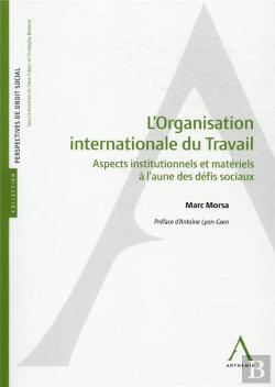 Bertrand.pt - L'Organisation Internationale Du Travail : Aspects Institutionnels Et Matériels À L'Aune Des Défis Sociaux