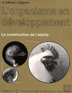 Bertrand.pt - L'Organisme En Developpement T.2 ; La Construction De L'Adulte