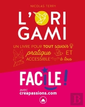 L'Origami ; Un Livre Pour Connaitre Les Bases Et Techniques De L'Origami