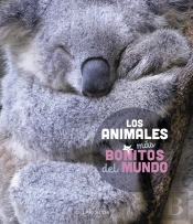 Los Animales Mas Bonitos Del Mundo