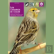 Los Canarios De Color
