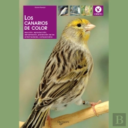 Bertrand.pt - Los Canarios De Color