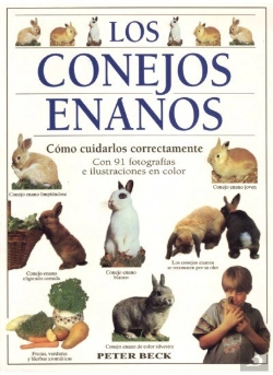 Bertrand.pt - Los Conejos Enanos