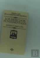 Los Derechos Fundamentales  