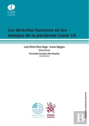 Los Derechos Humanos En Los Tiempos De La Pandemia Covid-19