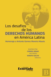 Los Desafios De Los Derechos Humanos En América Latina