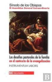 Los Desafíos Pastorales De La Familia En El Contexto De La Evangelización