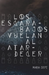 Los Escarabajos Vuelan Al Atardecer