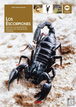 Bertrand.pt - Los Escorpiones