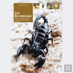 Bertrand.pt - Los Escorpiones