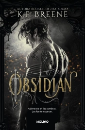 Los Fae De Las Sombras 1 Obsidian