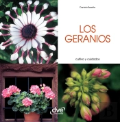 Los Geranios - Cultivo Y Cuidados