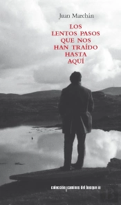 Los Lentos Pasos Que Nos Han Traído Hasta Aquí