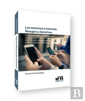 Los Menores E Internet Riesgos Y Derechos