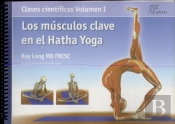 Los Músculos Clave En El Hatha Yoga