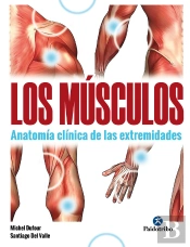 Los Músculos