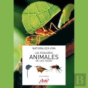 Los Pequeños Animales De Las Casas