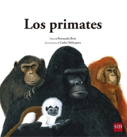 Bertrand.pt - Los Primates