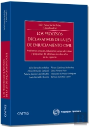 Los Procesos Declarativos De La Ley De Enjuiciamiento Civil - Problemas Actuales, Soluciones Jurispr