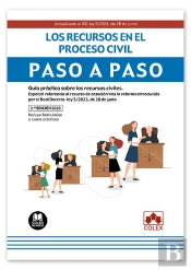 Los Recursos En El Proceso Civil Paso A Paso