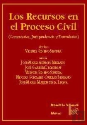 Los Recursos En El Proceso Civil