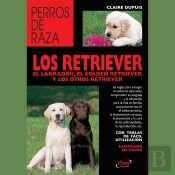 Los Retriever El Labrador, El Golden Retriever Y Los Otros Retriever