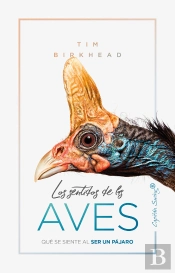 Los Sentidos De Las Aves