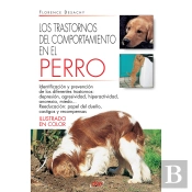 Los Trastornos Del Comportamiento En El Perro